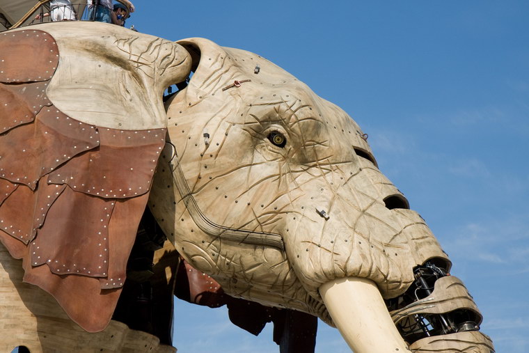 L'�l�phant