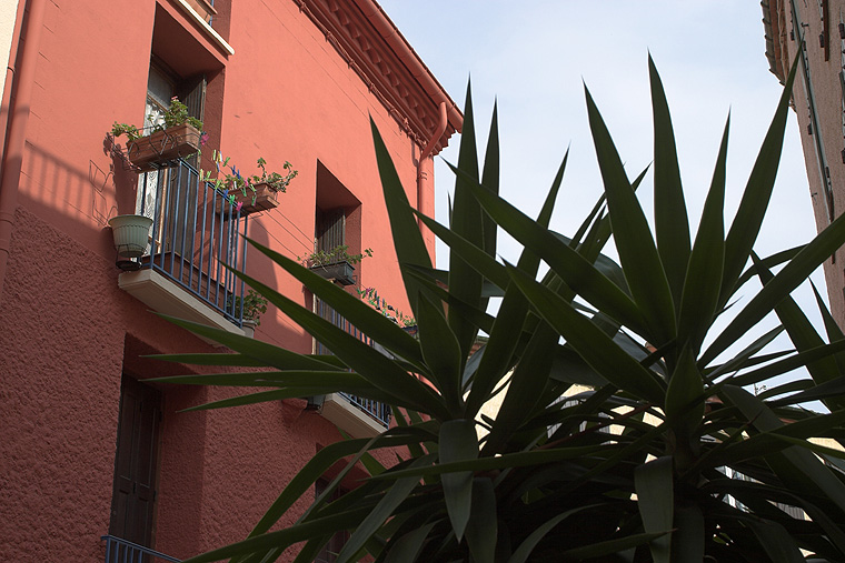 Les rues de Collioure