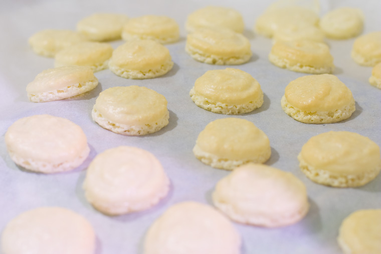 Macarons coco