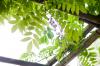 Derniers soupirs de l'�t�