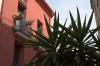 Les rues de Collioure