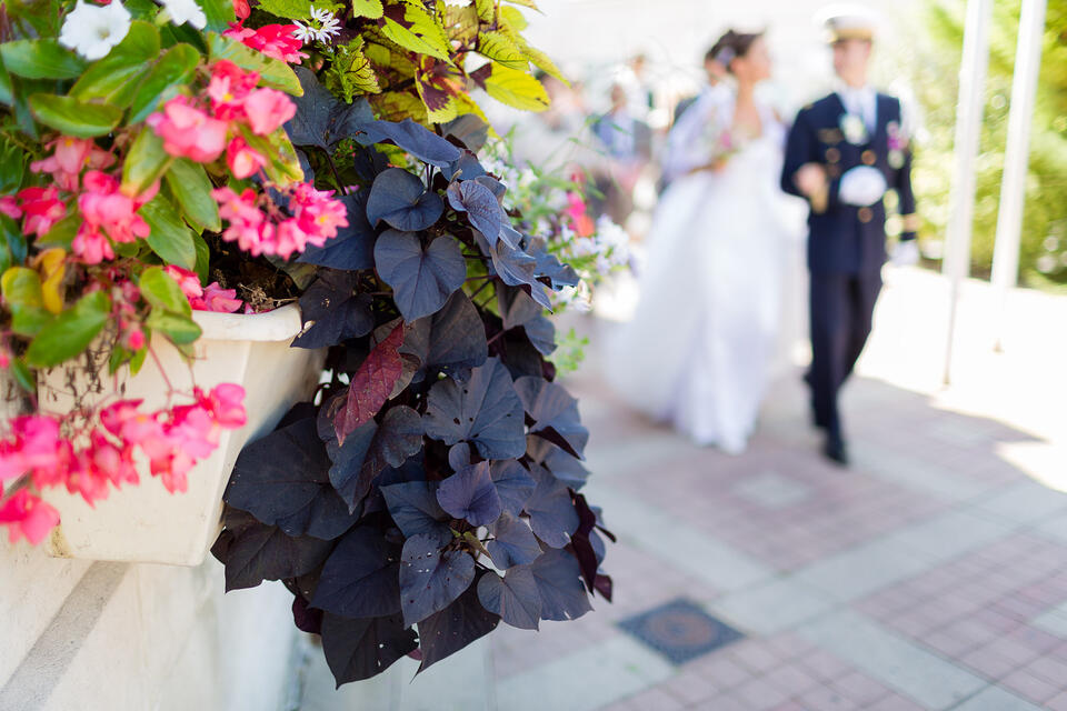 Photographe de mariage à Bordeaux