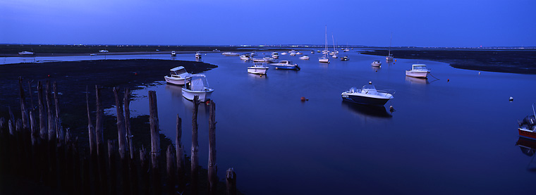 Le bassin d'Arcachon