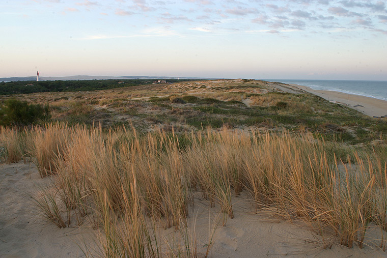 Le phare du Cap Ferret