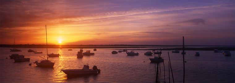 Lever de soleil sur le bassin